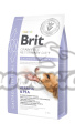 Brit VD Dog GF Gastrointestinal 2kg