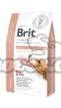 Brit VD Dog GF Renal 2kg