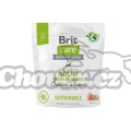 Brit Care Dog Sustainable Adult Medium Breed 1kg