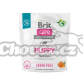 BRIT Care Grain-free Puppy Salmon & Potato 1kg