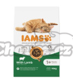 IAMS CAT 10kg adult Lamb