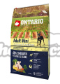 Ontario Adult Mini Chicken & Potatoes 6,5kg